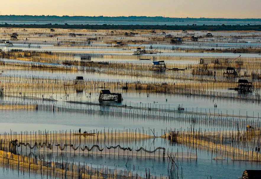 Chuon lagoon is a brackish water lagoon with an area of about 100 hectares - Photo: NGO HUY HOA Chuon lagoon is a brackish water lagoon with an area of about 100 hectares - Photo: NGO HUY HOA