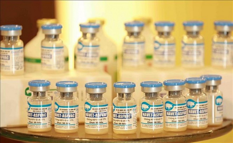 The NAVET-ASFVAC vaccine produced by Navetco Company. Photo: VNA The NAVET-ASFVAC vaccine produced by Navetco Company. Photo: VNA