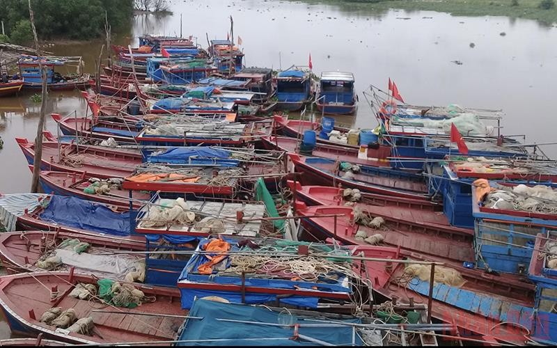 Bắn pháo hiệu hướng dẫn tàu thuyền vào trú nơi an toàn tránh bão số 1 Bắn pháo hiệu hướng dẫn tàu thuyền vào trú nơi an toàn tránh bão số 1