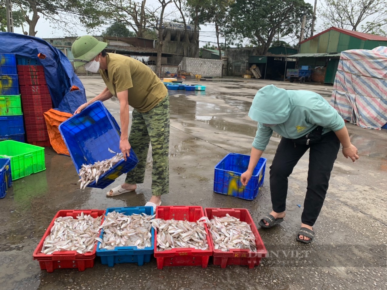 Nghệ An chi hơn 13 tỷ đồng hỗ trợ chủ tàu cá vượt khó vươn khơi Nghệ An chi hơn 13 tỷ đồng hỗ trợ chủ tàu cá vượt khó vươn khơi