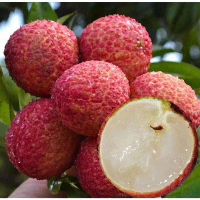 Do You Know These Made-in-Vietnam Seedless Fruits? Do You Know These Made-in-Vietnam Seedless Fruits?