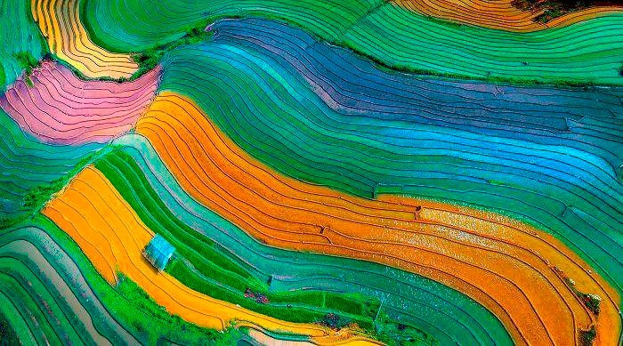 Vietnamese Photographers to Win Many Prizes at International Contests Vietnamese Photographers to Win Many Prizes at International Contests