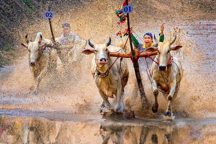 Vietnamese Photographers to Win Many Prizes at International Contests Vietnamese Photographers to Win Many Prizes at International Contests