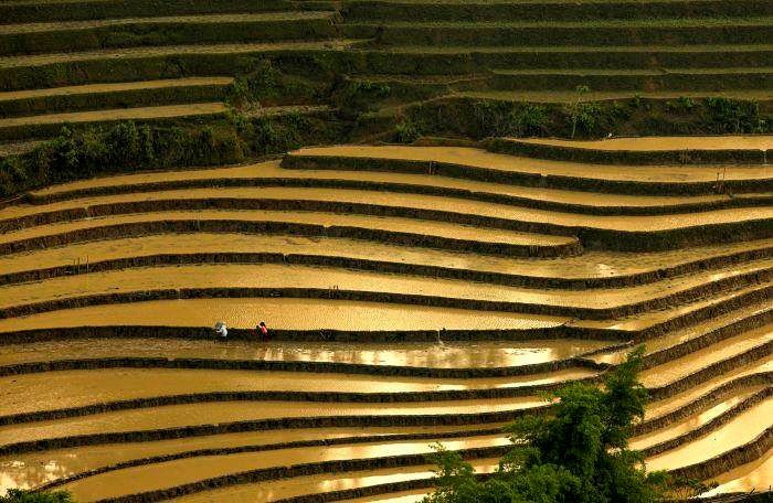 Vietnamese Photographers to Win Many Prizes at International Contests Vietnamese Photographers to Win Many Prizes at International Contests
