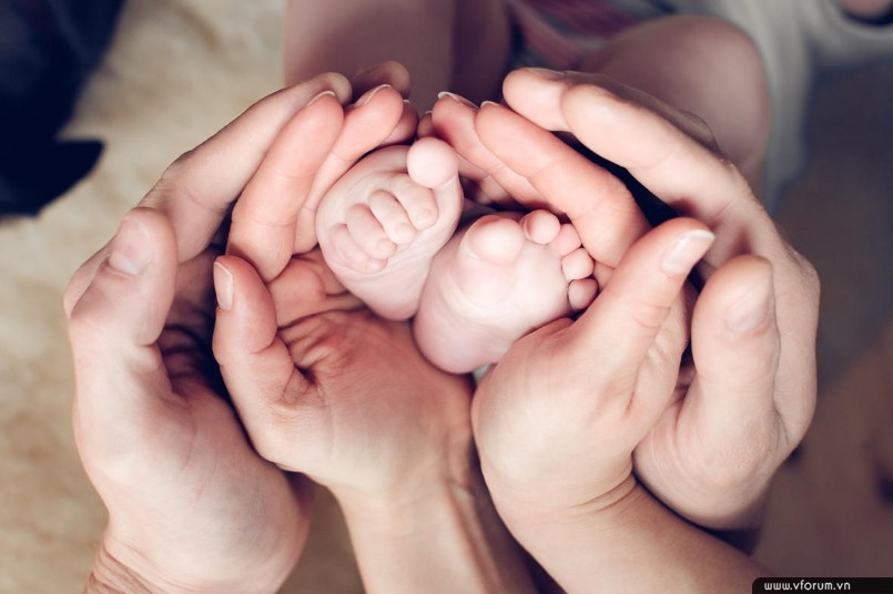 Hạnh phúc gia đình theo quan điểm Phật giáo Hạnh phúc gia đình theo quan điểm Phật giáo