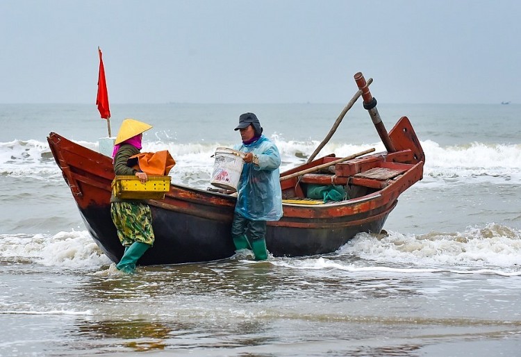 Ngư dân tại Thanh Hóa. Ảnh: Q.D Ngư dân tại Thanh Hóa. Ảnh: Q.D