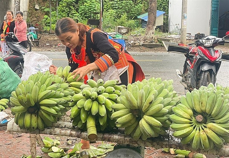Chị Tẩn Thị Vân loại bỏ những quả chuối xấu trước khi đóng hàng xuất sang Trung Quốc. Ảnh: Bích Nguyên Chị Tẩn Thị Vân loại bỏ những quả chuối xấu trước khi đóng hàng xuất sang Trung Quốc. Ảnh: Bích Nguyên