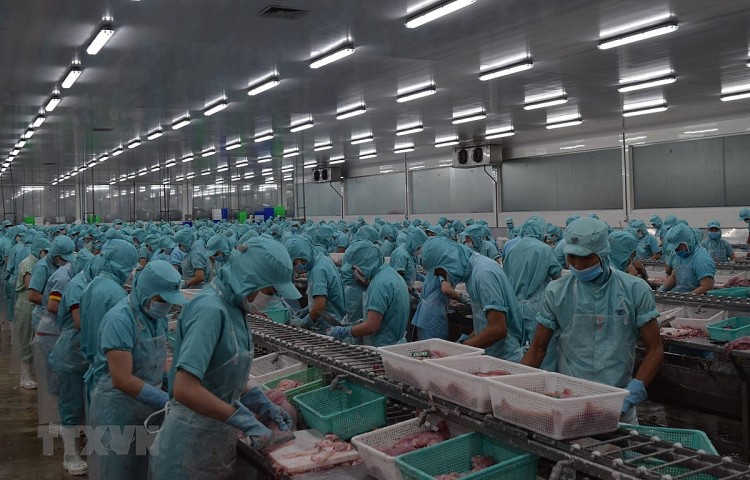 Doanh nghiệp Australia kỳ vọng vào cơ hội kinh doanh tại Việt Nam | Doanh nghiệp | Vietnam+ (VietnamPlus) Doanh nghiệp Australia kỳ vọng vào cơ hội kinh doanh tại Việt Nam | Doanh nghiệp | Vietnam+ (VietnamPlus)