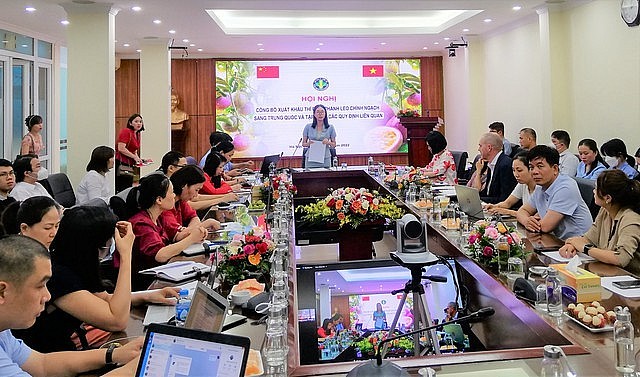 Vietnamese Passionfruit to Enter China via Official Channel Vietnamese Passionfruit to Enter China via Official Channel