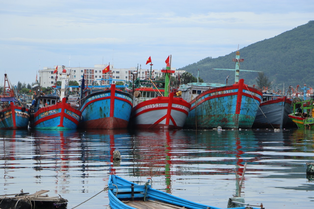 Hàng loạt chiếc tàu công suất lớn đang phải cầm bờ hoặc chờ rao bán