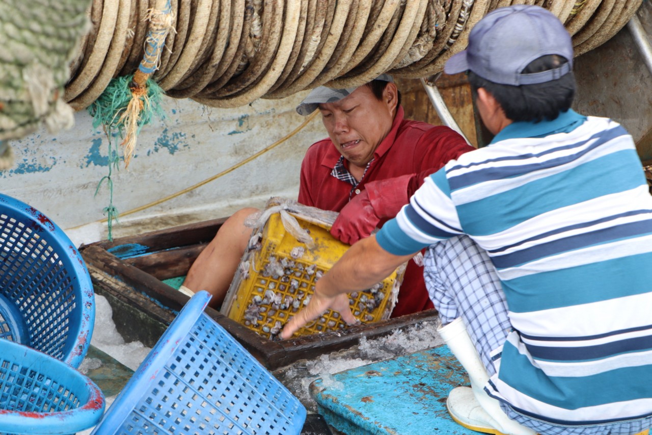 Sản lượng khai thác đang cạn kiệt trong khi giá dầu tăng liên tục là điều khiến ngư dân do lắng