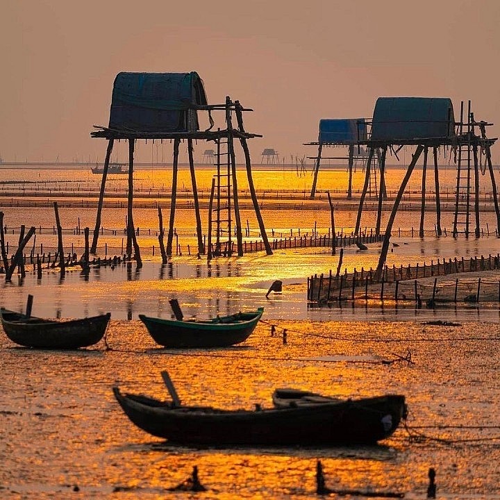 The poetic beauty of the unspoiled beach in Thai Binh with illusive clam huts The Unspoiled Beauty of Thai Binh's Illustrious Beaches