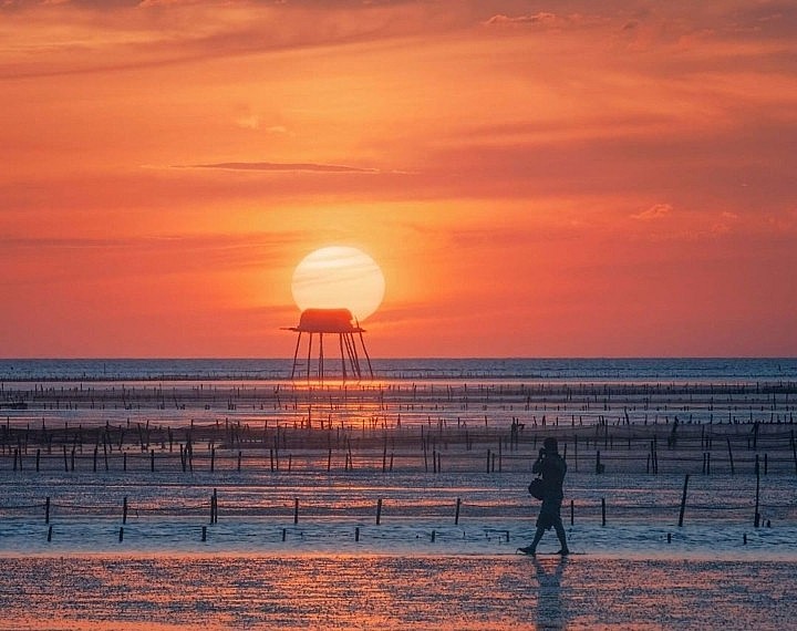 The poetic beauty of the unspoiled beach in Thai Binh with illusive clam huts The Unspoiled Beauty of Thai Binh's Illustrious Beaches