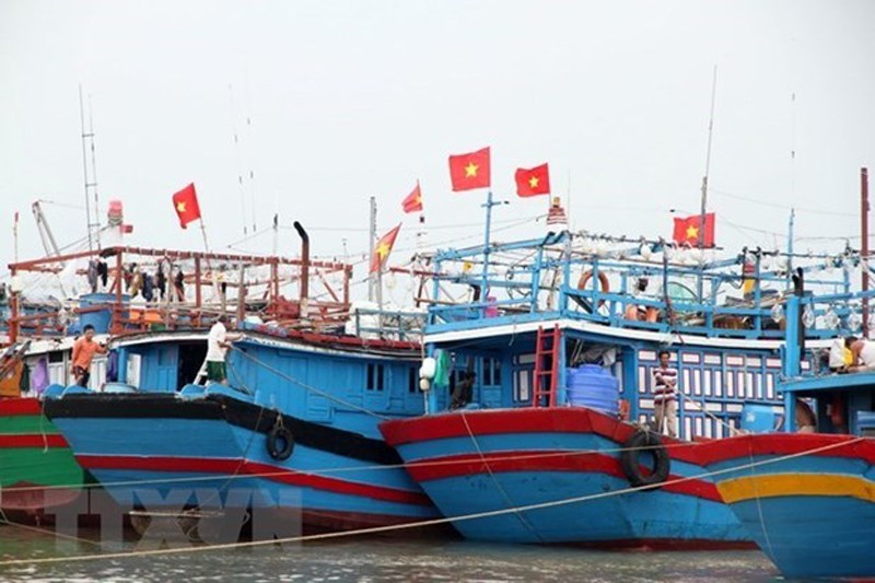 Neo đậu tàu thuyền tránh trú bão. (Ảnh minh họa. Nguồn: TTXVN) Neo đậu tàu thuyền tránh trú bão. (Ảnh minh họa. Nguồn: TTXVN)
