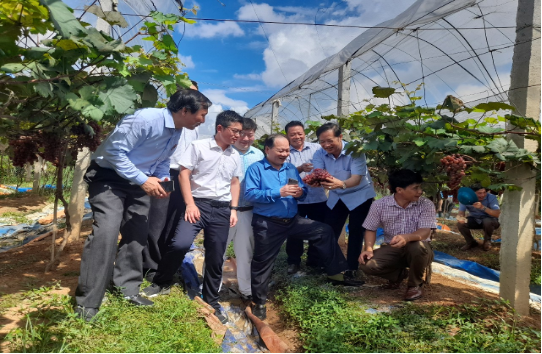Liên hiệp các tổ chức hữu nghị tỉnh Bắc Giang viếng nghĩa trang liệt sĩ quân tình nguyện Trung Quốc Liên hiệp các tổ chức hữu nghị tỉnh Bắc Giang viếng nghĩa trang liệt sĩ quân tình nguyện Trung Quốc
