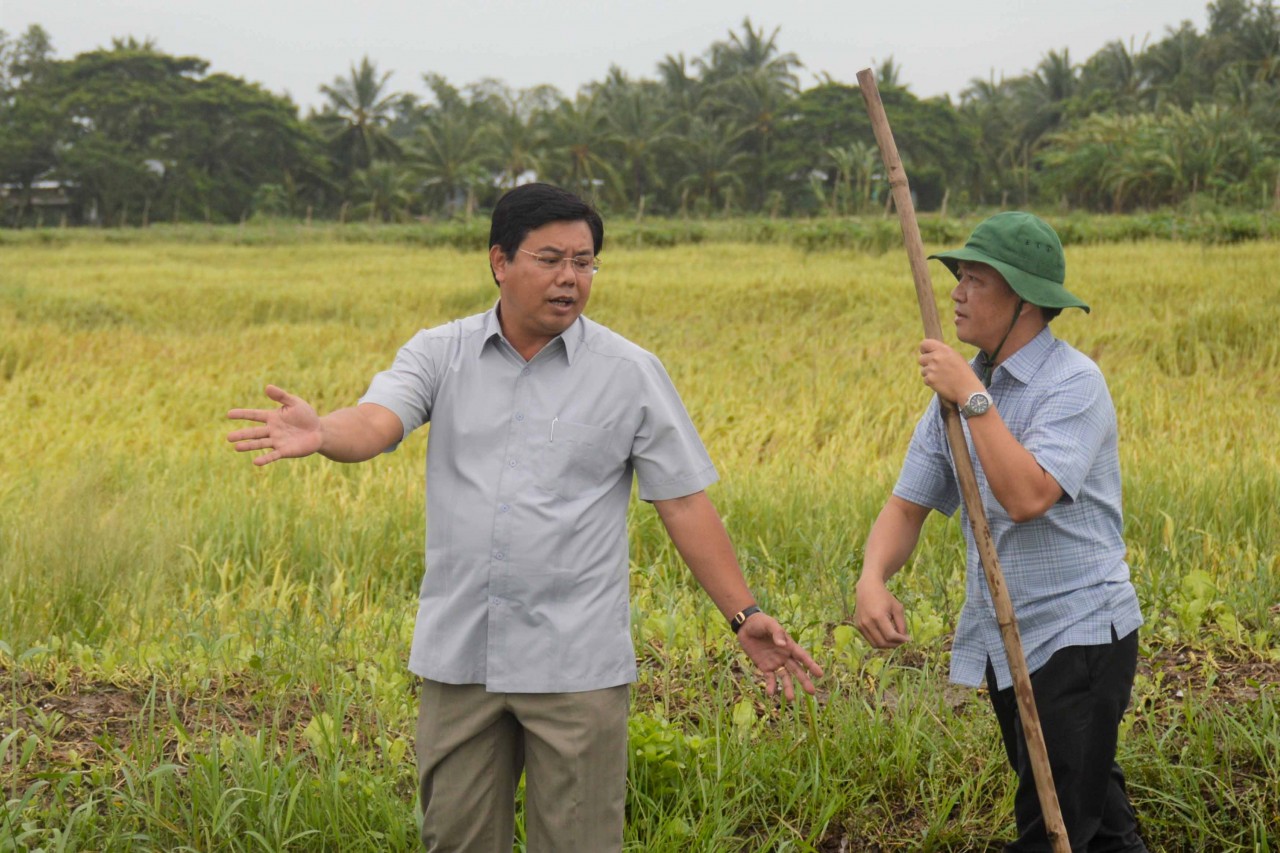 Cà Mau: Hơn 100 m đê biển Tây bị sạt lở Cà Mau: Hơn 100 m đê biển Tây bị sạt lở