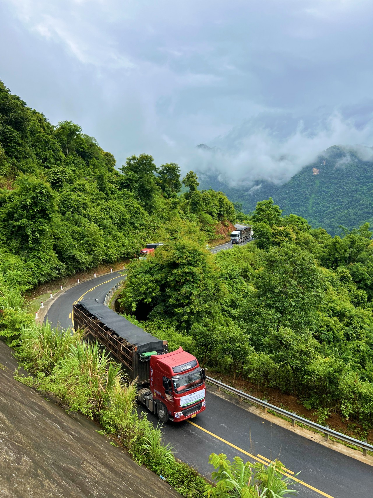 Thời tiết mát mẻ góp phần giúp cho đàn bò cảm thấy thoải mái hơn trên các cung đường di chuyển về trang trại Lao-Jagro. Thời tiết mát mẻ góp phần giúp cho đàn bò cảm thấy thoải mái hơn trên các cung đường di chuyển về trang trại Lao-Jagro.