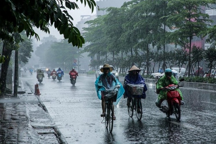 Thời tiết ngày 20/7, cả nước có mưa rào rải rác, cục bộ mưa to. Thời tiết ngày 20/7, cả nước có mưa rào rải rác, cục bộ mưa to.