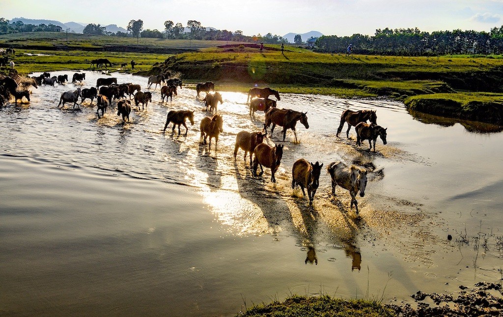 Top Attractive Destinations in Thai Nguyen Top Attractive Destinations in Thai Nguyen