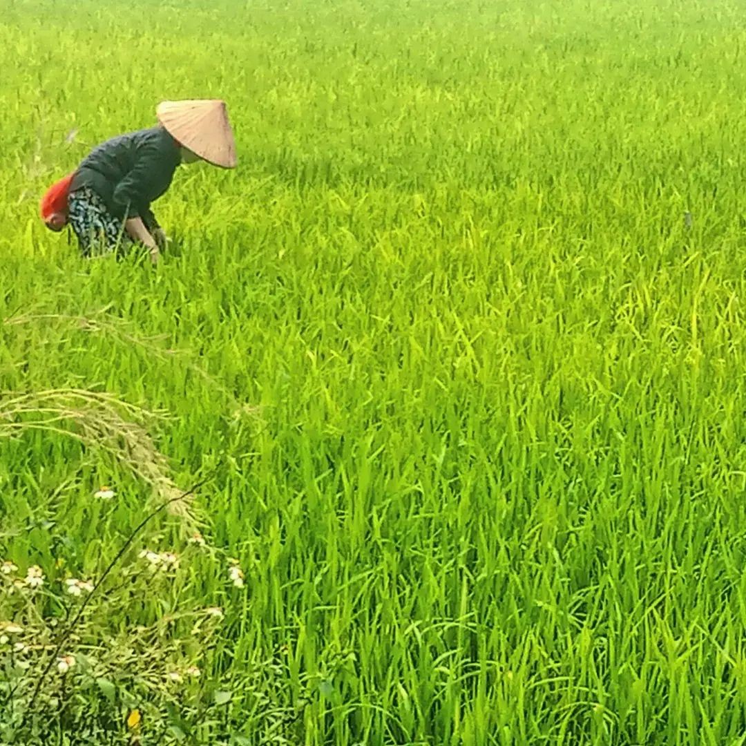 Mai Chau - The Ideal Weekend Retreat from the City Mai Chau - The Ideal Weekend Retreat from the City