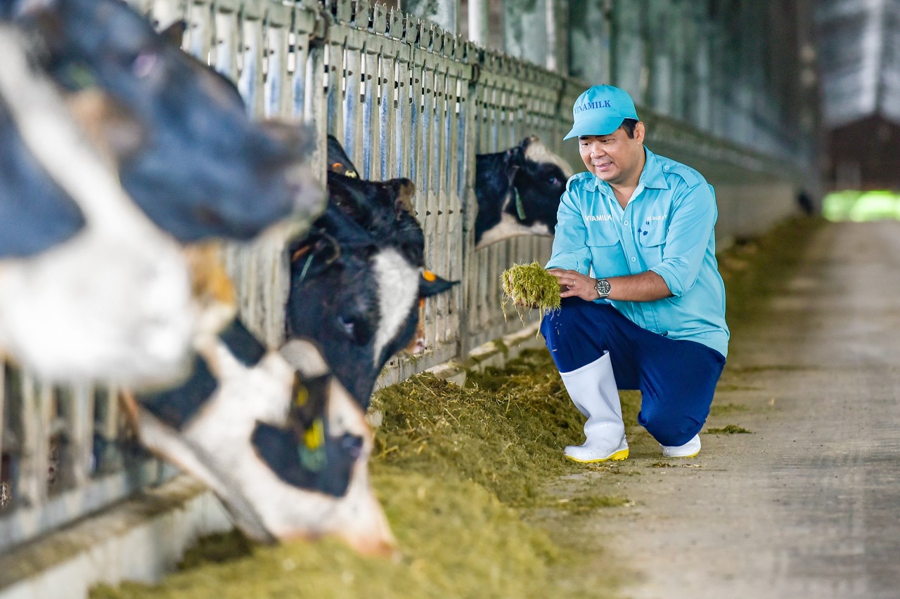 Hệ thống trang trại sinh thái Vinamilk Green Farm đón thêm 1.550 bò sữa nhập từ Mỹ Hệ thống trang trại sinh thái Vinamilk Green Farm đón thêm 1.550 bò sữa nhập từ Mỹ