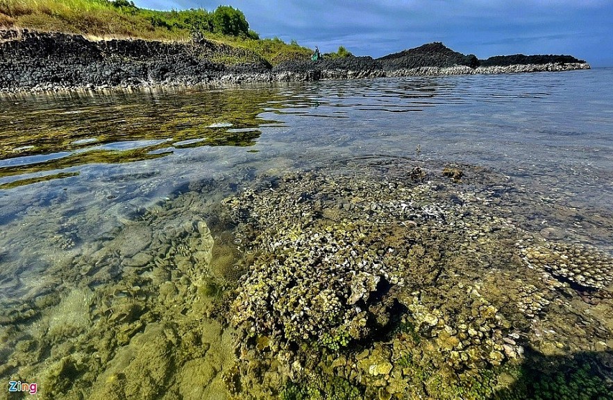 The masterpiece of open-air coral reef in Ganh Yen The masterpiece of open-air coral reef in Ganh Yen