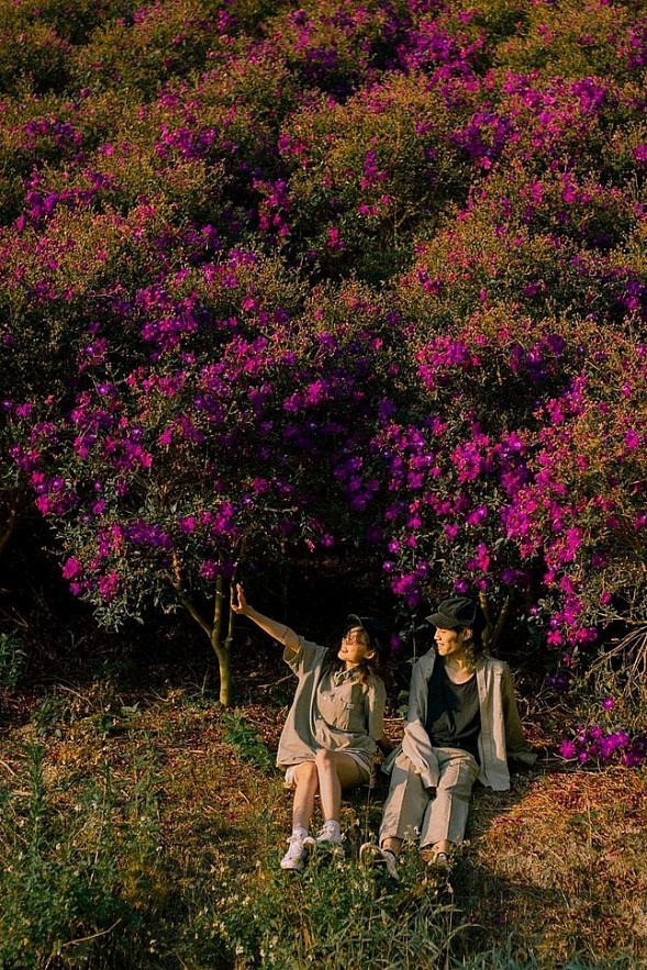 A romantic corner. Photo: Martial Arts A romantic corner. Photo: Martial Arts
