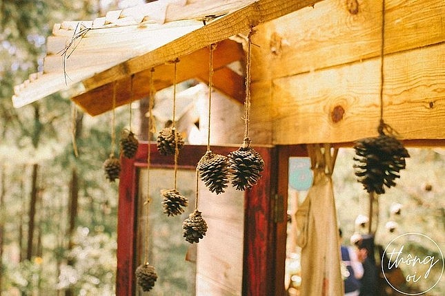 The restaurant is located in the middle of the vast pine forest. Photo: Thong Oi The restaurant is located in the middle of the vast pine forest. Photo: Thong Oi