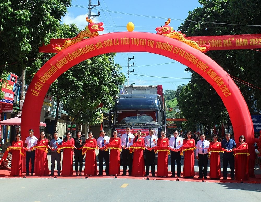 Nhãn Sông Mã, Sơn La chính thức xuất khẩu sang EU, Anh Nhãn Sông Mã, Sơn La chính thức xuất khẩu sang EU, Anh