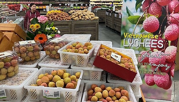 Vietnam and Australia enjoyed strong growth in two-way trade in the first half of this year at 38.45% to US$8.01 billion. Source: VNA Vietnam and Australia enjoyed strong growth in two-way trade in the first half of this year at 38.45% to US$8.01 billion. Source: VNA