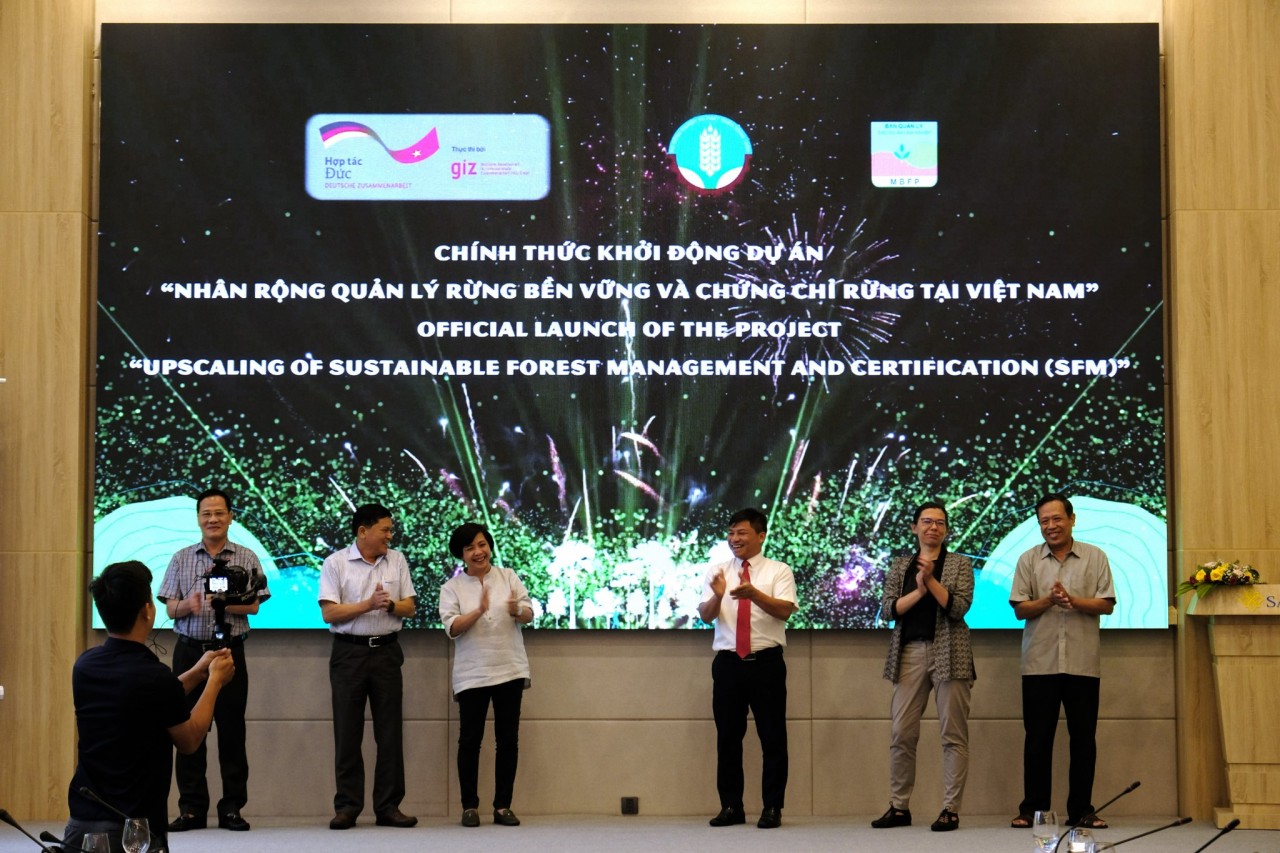 Vietnam – German Cooperate to Strengthen Sustainable Timber Production