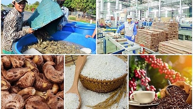 Illustrative image. Source: congthuong.vn Illustrative image. Source: congthuong.vn
