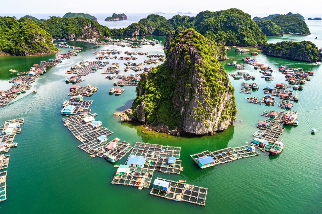 Trang du lịch uy tín Mỹ lựa chọn vịnh Lan Hạ là điểm đến đẹp nhất Việt Nam