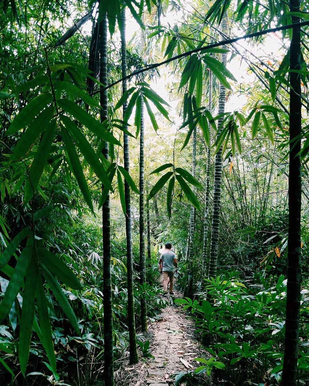 A Local Guide's to Vietnam's Top 7 Historic Destinations A Local Guide's to Vietnam's Top 7 Historic Destinations