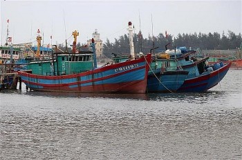 Hải Phòng: Quyết liệt tháo gỡ cảnh báo “Thẻ vàng” của Ủy ban châu Âu