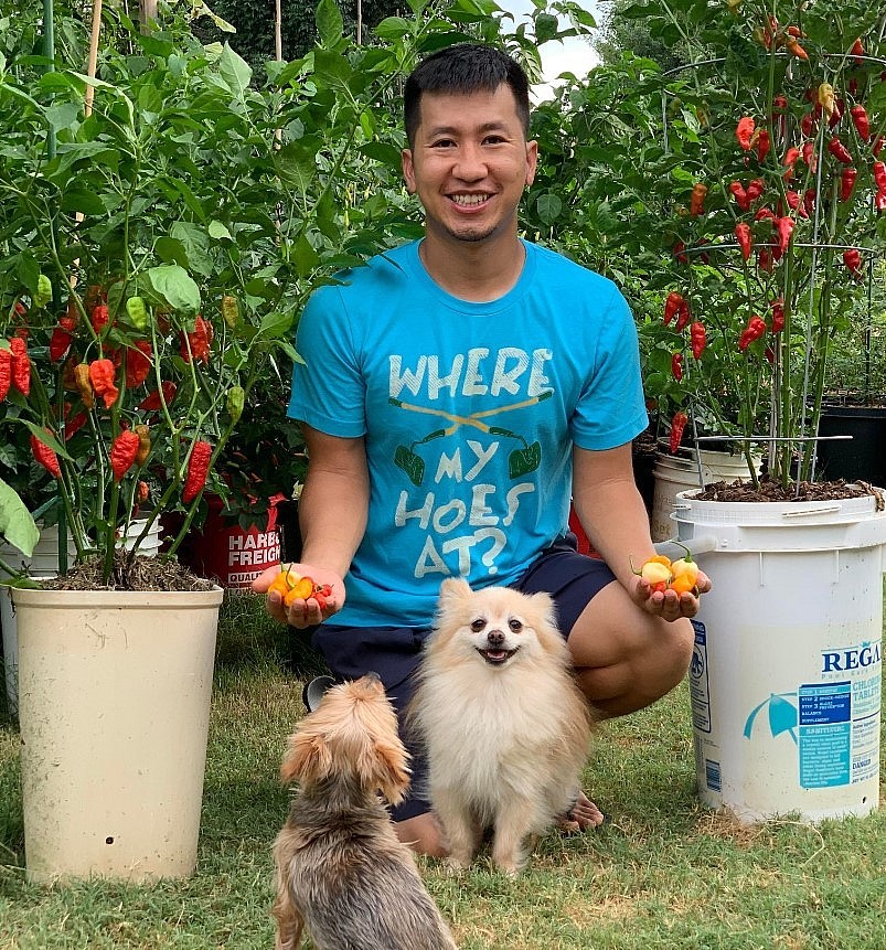 Oversea Vietnamese Grows More Than 500 Kinds Of Chili In America Oversea Vietnamese Grows More Than 500 Kinds Of Chili In America
