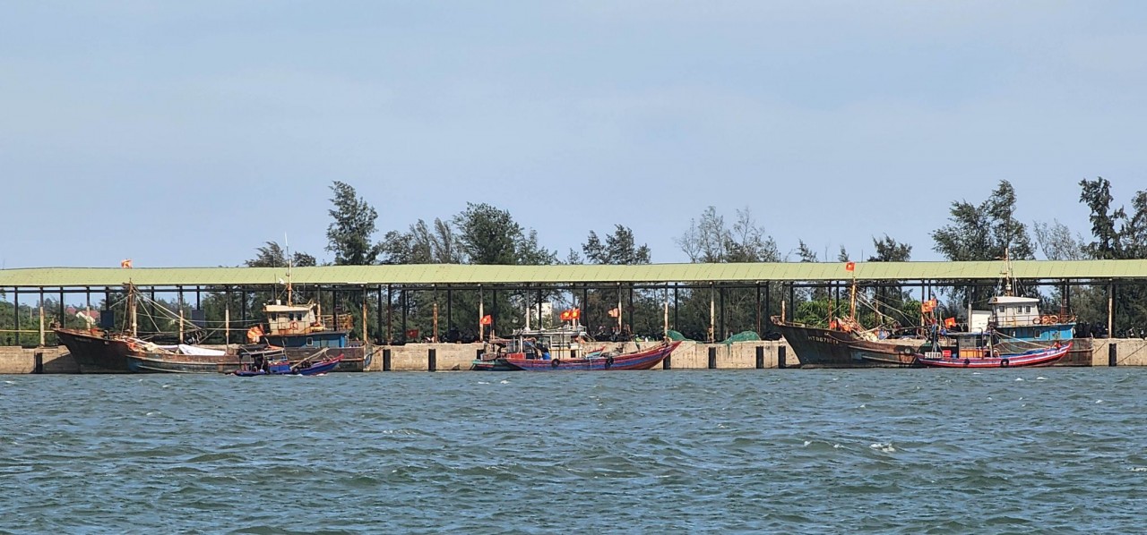 Bình Định chi gần 98,6 tỷ đồng hỗ trợ cho tàu cá vươn khơi bám biển
