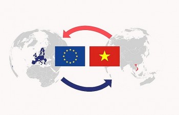 Quảng Nam tập huấn tuyên truyền về EVFTA cho cán bộ phụ trách văn hoá - thông tin