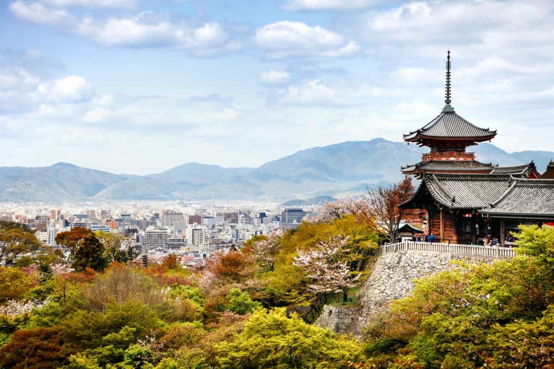 Cuộc sống đâm chồi nảy lộc ở Hiroshima và Nagasaki Cuộc sống đâm chồi nảy lộc ở Hiroshima và Nagasaki