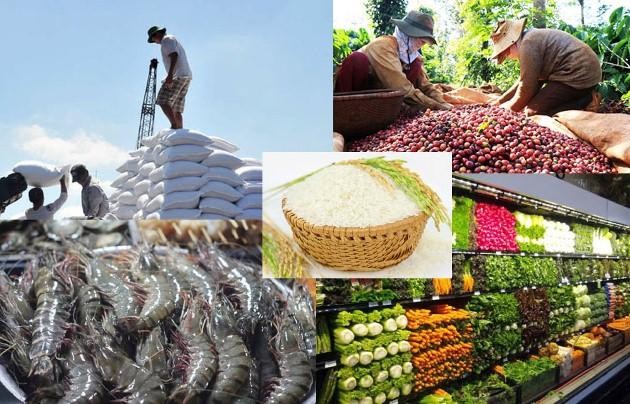 Các mặt hàng nông sản xuất khẩu chủ lực được dự báo tăng trưởng mạnh ở thị trường EU. Ảnh minh họa Các mặt hàng nông sản xuất khẩu chủ lực được dự báo tăng trưởng mạnh ở thị trường EU. Ảnh minh họa