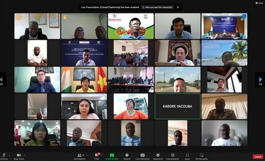 Delegates attend the webinar. Photo: VOV Delegates attend the webinar. Photo: VOV