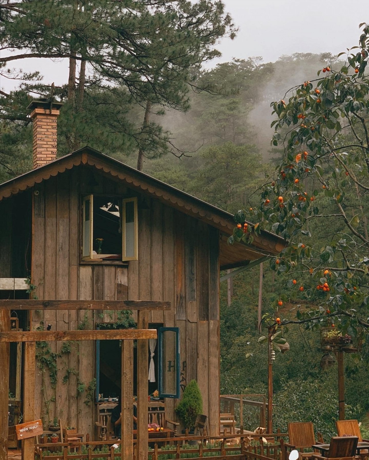 Da Lat's Coziest Cafes and Eateries For Rainy Days Da Lat's Coziest Cafes and Eateries For Rainy Days