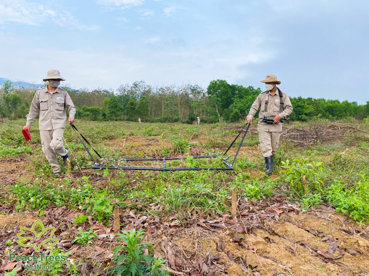 Quang Binh: PeaceTrees Clears 1,5 million m2 of Land in Phase I Quang Binh: PeaceTrees Clears 1,5 million m2 of Land in Phase I