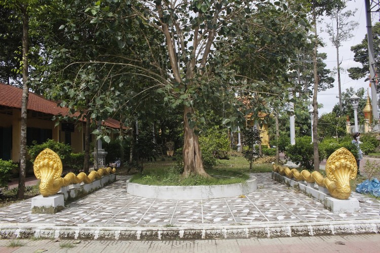Khám phá kiến trúc chùa Khmer độc đáo ở Trà Vinh Khám phá kiến trúc chùa Khmer độc đáo ở Trà Vinh