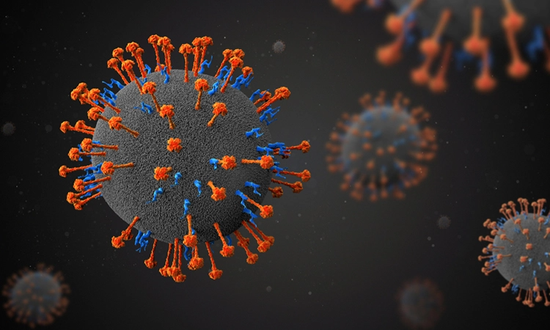Trung Quốc phát hiện virus Langya henipavirus có thể gây chết người Trung Quốc phát hiện virus Langya henipavirus có thể gây chết người