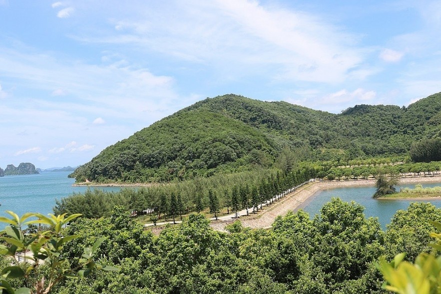 7 Beautiful Locations in Cam Pha for Tourists to Take Photos Seven Beautiful Locations in Cam Pha for Tourists to Take Photos