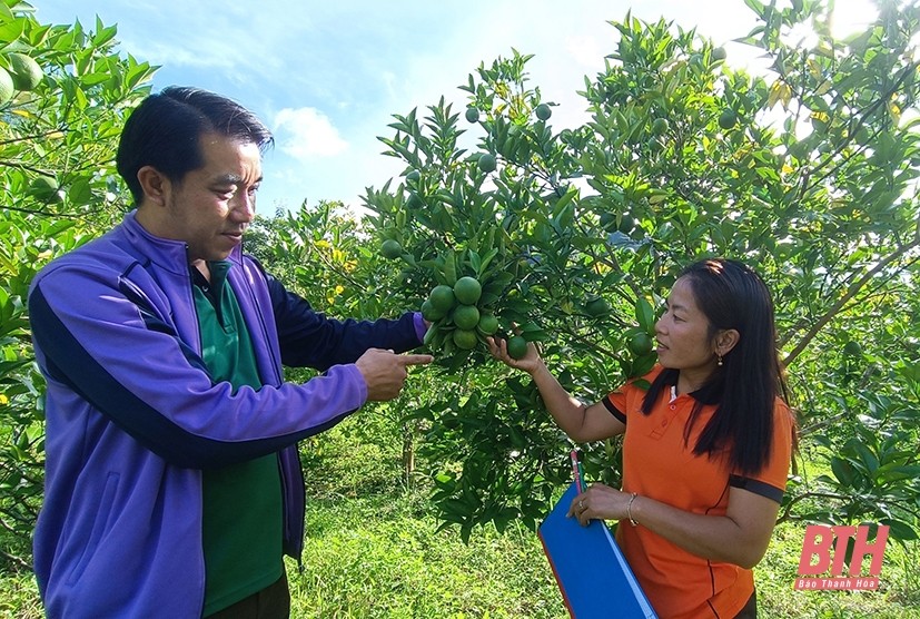Tăng cường hợp tác về kinh tế góp phần nâng tầm mối quan hệ hữu nghị Thanh Hóa - Hủa Phăn Tăng cường hợp tác về kinh tế góp phần nâng tầm mối quan hệ hữu nghị Thanh Hóa - Hủa Phăn