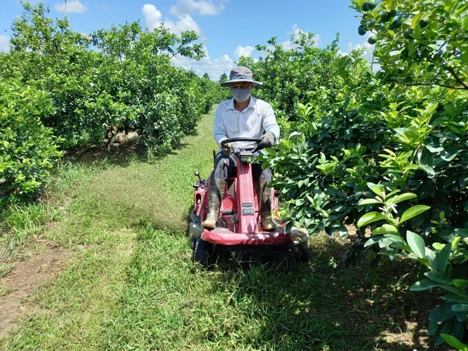 Cơ giới hóa trong sản xuất cây ăn trái tại ĐBSCL đạt trên 70%. Ảnh: Minh Đảm. Cơ giới hóa trong sản xuất cây ăn trái tại ĐBSCL đạt trên 70%. Ảnh: Minh Đảm.