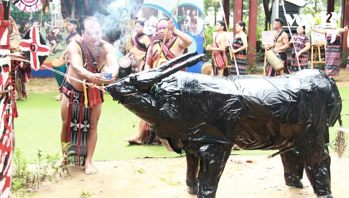 Lễ mừng lúa mới của đồng bào Cơ Tu – lễ hội của tình đoàn kết Lễ mừng lúa mới của đồng bào Cơ Tu – lễ hội của tình đoàn kết
