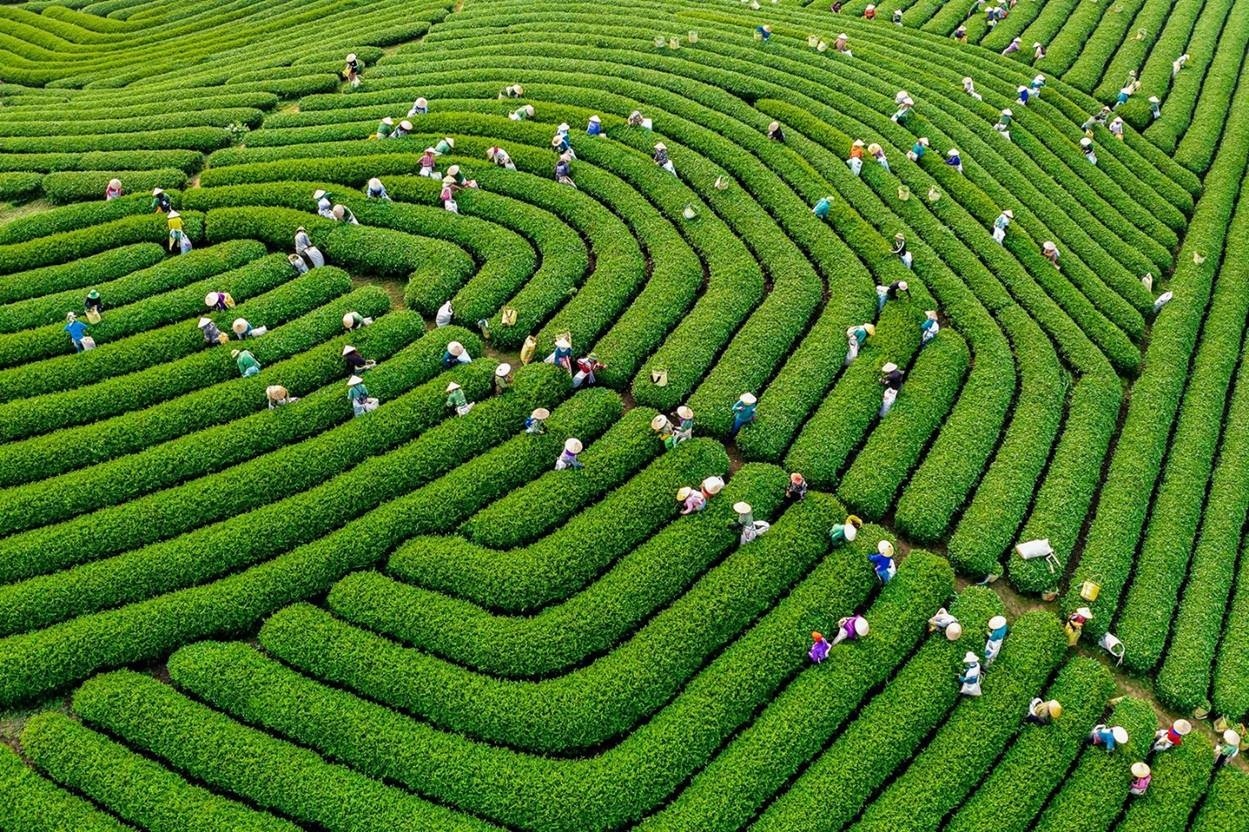 Lào Cai: Trưng bày gần 200 bức ảnh nghệ thuật tại triển lãm "Trung du, miền núi phía Bắc - Tiềm năng và cơ hội" Lào Cai: Trưng bày gần 200 bức ảnh nghệ thuật tại triển lãm "Trung du, miền núi phía Bắc - Tiềm năng và cơ hội"